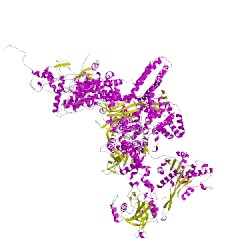 Image of CATH 3jcmA