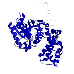 Image of CATH 3jpn