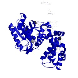 Image of CATH 3jpr