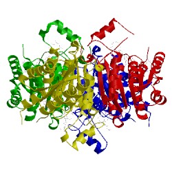 Image of CATH 3jq6