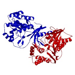 Image of CATH 3jr1