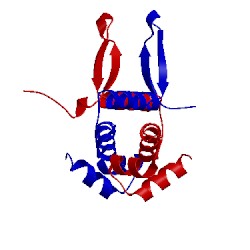 Image of CATH 3jrh