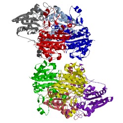 Image of CATH 3jsx