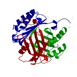 Image of CATH 3jtu