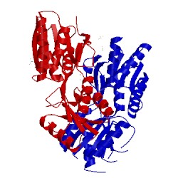 Image of CATH 3jvd