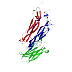 Image of CATH 3jvf