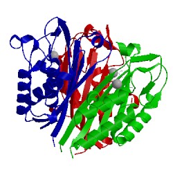 Image of CATH 3jvh