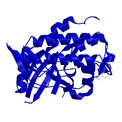 Image of CATH 3jvr