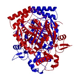 Image of CATH 3jwv