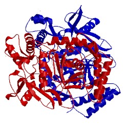 Image of CATH 3jww