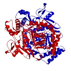 Image of CATH 3jwx