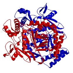 Image of CATH 3jwy