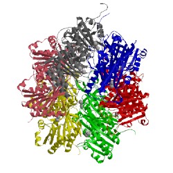 Image of CATH 3k0c