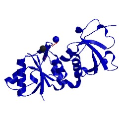 Image of CATH 3k0h