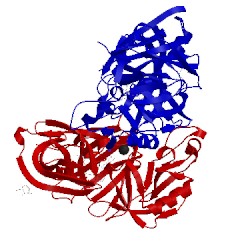 Image of CATH 3k1w