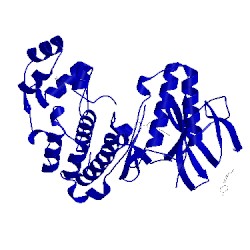 Image of CATH 3k3i
