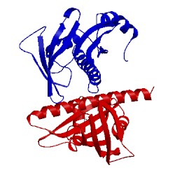 Image of CATH 3k3k