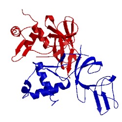 Image of CATH 3k3r
