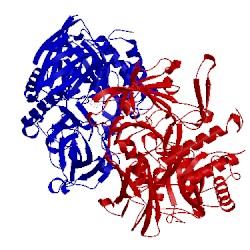 Image of CATH 3k4d