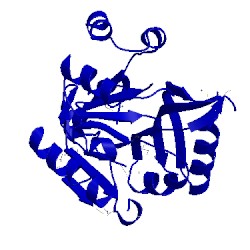 Image of CATH 3k6r