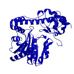 Image of CATH 3k7y