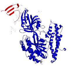 Image of CATH 3kas