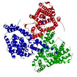 Image of CATH 3kbc