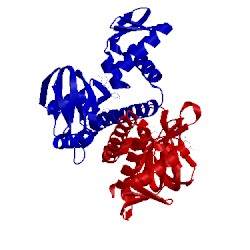 Image of CATH 3kcc