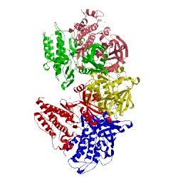 Image of CATH 3kcf