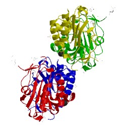 Image of CATH 3keb