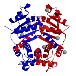 Image of CATH 3keo