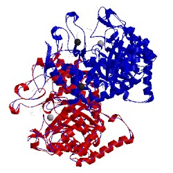Image of CATH 3kgf