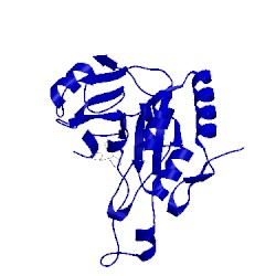 Image of CATH 3ki6