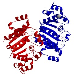 Image of CATH 3kji