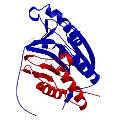 Image of CATH 3kjn