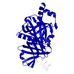 Image of CATH 3kjp