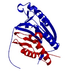 Image of CATH 3kjq