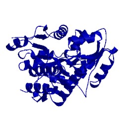 Image of CATH 3kjt