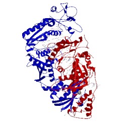 Image of CATH 3kjv