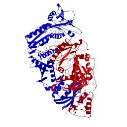 Image of CATH 3kk1