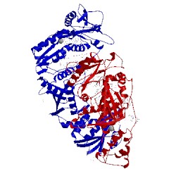 Image of CATH 3kk2