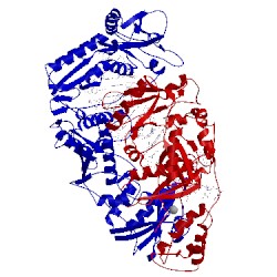 Image of CATH 3kk3
