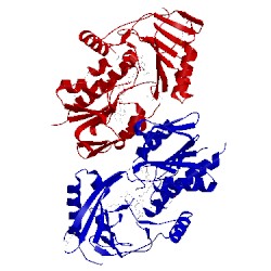 Image of CATH 3kkj