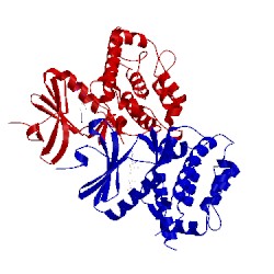 Image of CATH 3kn5