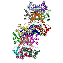 Image of CATH 3ko0