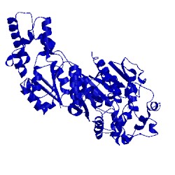 Image of CATH 3koo