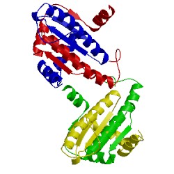 Image of CATH 3kov