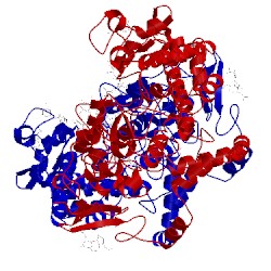 Image of CATH 3krk