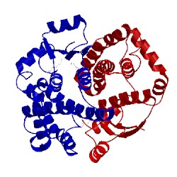 Image of CATH 3ktl