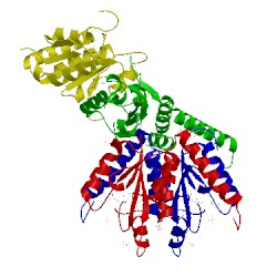 Image of CATH 3kuu